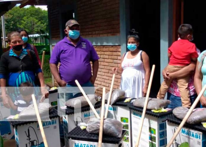 Familias de Granada reciben bonos de parte del Ministerio de Economía Familiar