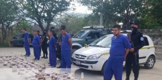 Incautan más de 300 libras de marihuana y capturan a 6 personas en Nueva Segovia