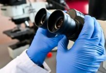 Científicos revelan primeras imágenes de la variante Ómicron