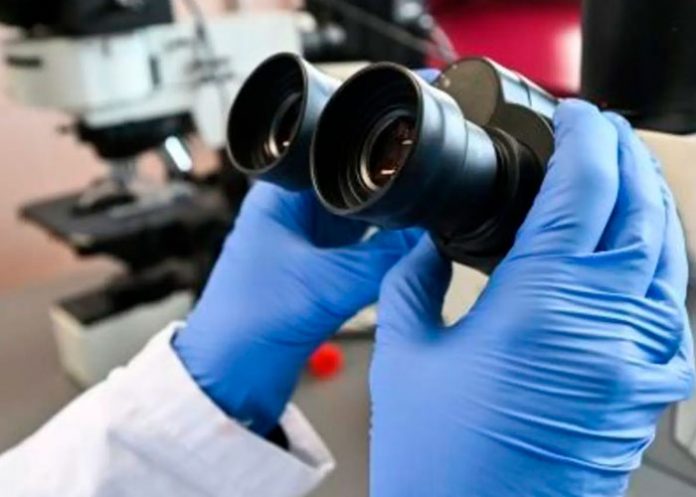 Científicos revelan primeras imágenes de la variante Ómicron