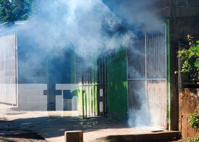 Continúa la lucha contra enfermedades vectoriales en Managua