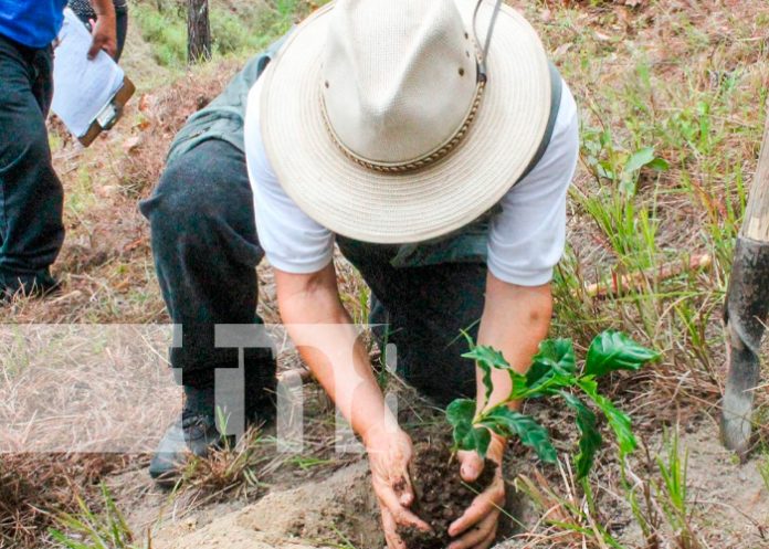 Inauguran Centro Tecnológico de Café Especiales y Alta Calidad en Dipilto