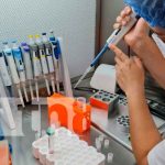 UCC impartirá 1er curso de trasferencia de embriones en bovinos en Nicaragua