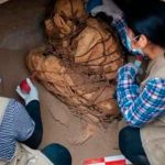 Hallan una momia en perfecto estado de conservación en Perú