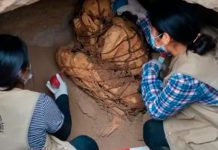 Hallan una momia en perfecto estado de conservación en Perú