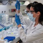 OMS estudia nueva variante del coronavirus con múltiples mutaciones OMS estudia nueva variante del coronavirus con múltiples mutaciones