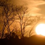 Los últimos siete años, los más cálidos de la historia, según estudio