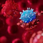 Variante Ómicron representa «un riesgo muy alto», advierte la OMS Variante Ómicron representa "un riesgo muy alto", advierte la OMS