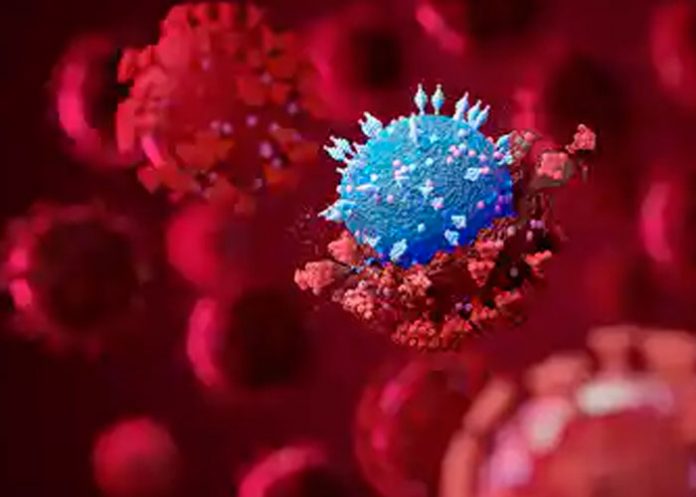 Variante Ómicron representa 