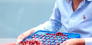 Curso para la mejora del café en Matagalpa