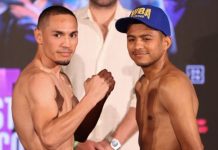 Trilogía entre Chocolatito y el Gallo sería el 22 de enero román. chocolatito, gonzález, boxeo, gallo, estrada,
