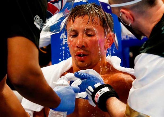 Golovkin gennady, golovkin, boxeo, murata,