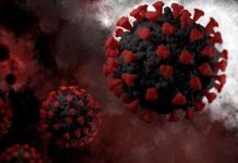 ¿Cómo es la nueva y peligrosa variante del coronavirus detectada por Sudáfrica? ¿Cómo es la nueva y peligrosa variante del coronavirus detectada por Sudáfrica?