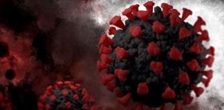 ¿Cómo es la nueva y peligrosa variante del coronavirus detectada por Sudáfrica?