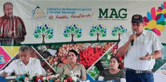 Siuna realiza la evaluación de programas, proyectos y trabajo desarrollado por el MAG