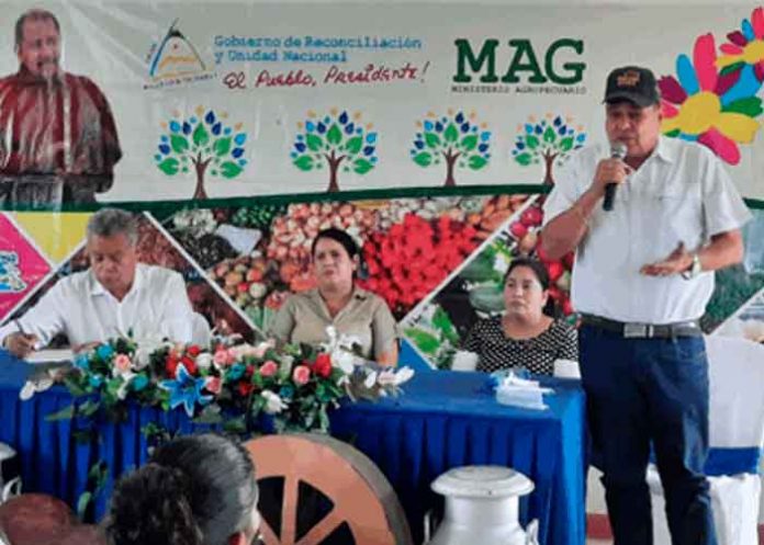 a2 Siuna realiza la evaluación de programas, proyectos y trabajo desarrollado por el MAG