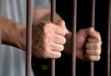 ¡Aberrado sexual! Violó y desmembró a una perra en Argentina