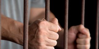 ¡Aberrado sexual! Violó y desmembró a una perra en Argentina