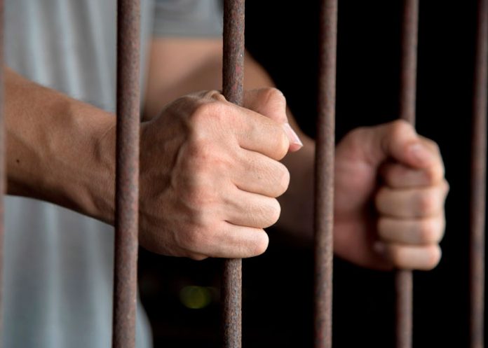 ¡Aberrado sexual! Violó y desmembró a una perra en Argentina