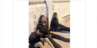 Policía de Ecuador descubre a reos que intentaban meter armas a la cárcel