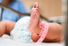 OMS advierte amenaza de bacteria estreptococo en bebés prematuros OMS advierte amenaza de bacteria estreptococo en bebés prematuros