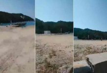 Ataque armado frente a turistas deja cuatro muertos en México Ataque armado frente a turistas deja cuatro muertos en México