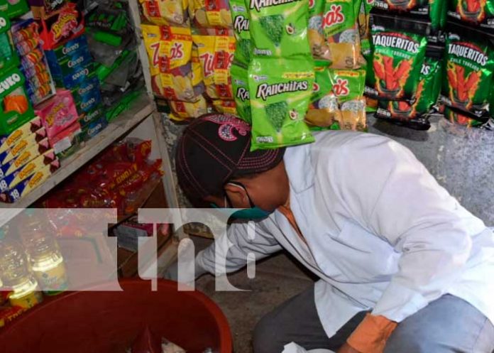 Aplicación de BIORAT en mercado de León