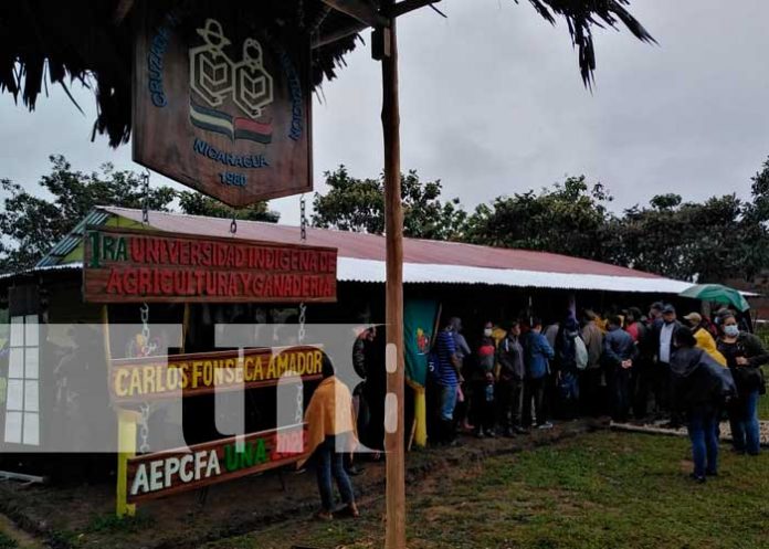 blu-002 Universidad Indígena de Agricultura y Ganadería en Bluefields