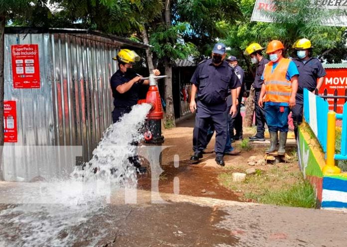 Inspección de hidrantes en el Mercado Roberto Huembes, Managua