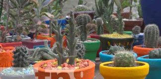 Cactus Los Pitirrines presente en Nicaragua Emprende