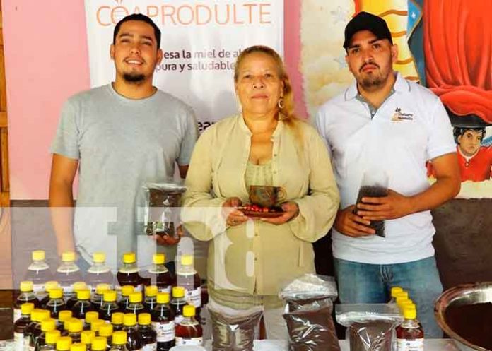 Productores de café en Telpaneca se preparan para Nicaragua emprende