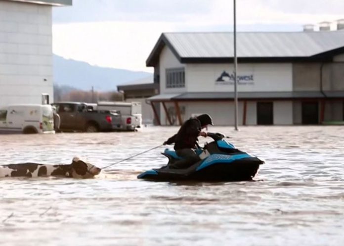 Deslizamientos de tierra en Canadá tras fuertes lluvias dejan un muerto