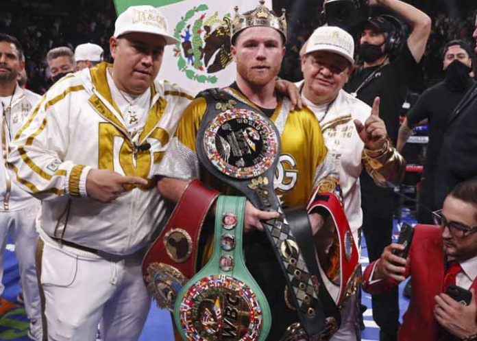 boxeo, canelo, plant, supermediano, mexicano