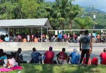 Dos caravanas de migrantes se entregan a autoridades mexicanas Dos caravanas de migrantes se entregan a autoridades mexicanas