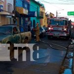 Carazo: Bomberos exterminan enjambre de abejas africanizadas Exterminan enjambre de abejas en Carazo