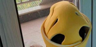China: Padres ponen cascos a sus bebés para moldearles la cabeza