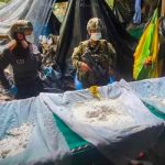 Colombia: Incautan 1,8 toneladas de cocaína oculta en pieles Incautan en Colombia 20 toneladas de cocaína, la mayor del año
