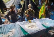 Colombia: Incautan 1,8 toneladas de cocaína oculta en pieles Incautan en Colombia 20 toneladas de cocaína, la mayor del año