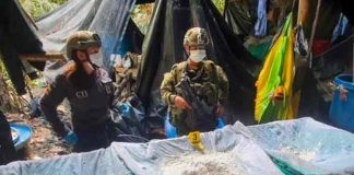 Incautan en Colombia 20 toneladas de cocaína, la mayor del año