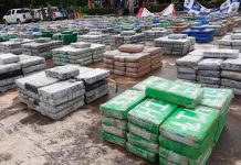 La mayor banda criminal de Colombia saca 20 toneladas de coca a 28 países La mayor banda criminal de Colombia saca 20 toneladas de coca a 28 países