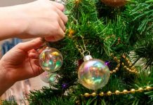 Increíble: Árbol de navidad resultó ser una mata de marihuana en Colombia Increíble: Árbol de navidad resultó ser gigantesca mata de marihuana en Colombia