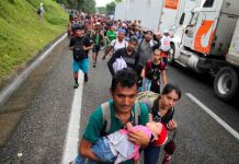México: Alertan por casos de dengue en la caravana migrante México: Alertan por casos de dengue en la caravana migrante