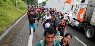 México: Alertan por casos de dengue en la caravana migrante
