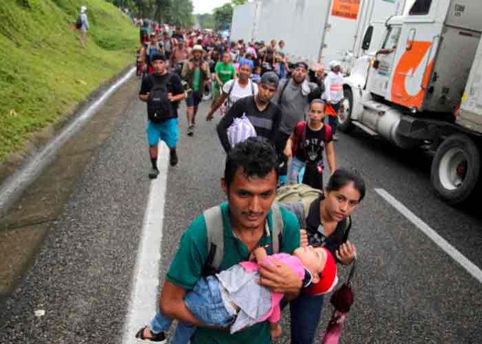 México: Alertan por casos de dengue en la caravana migrante