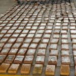 Más de 200 kilos de cocaína incautaron autoridades en Colombia Más de 200 kilos de cocaína incautaron autoridades en Colombia
