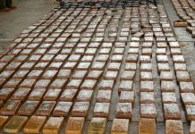 Más de 200 kilos de cocaína incautaron autoridades en Colombia Más de 200 kilos de cocaína incautaron autoridades en Colombia