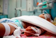 Brutal golpiza dejó a niño guatemalteco en coma en Los Ángeles Brutal golpiza dejó a niño guatemalteco en coma en Los Ángeles
