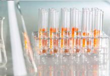 ¿Otra alarma sanitaria? Hallan frascos con viruela en laboratorio de Estados Unidos ¿Otra alarma sanitaria? Hallan frascos con viruela en laboratorio de Estados Unidos