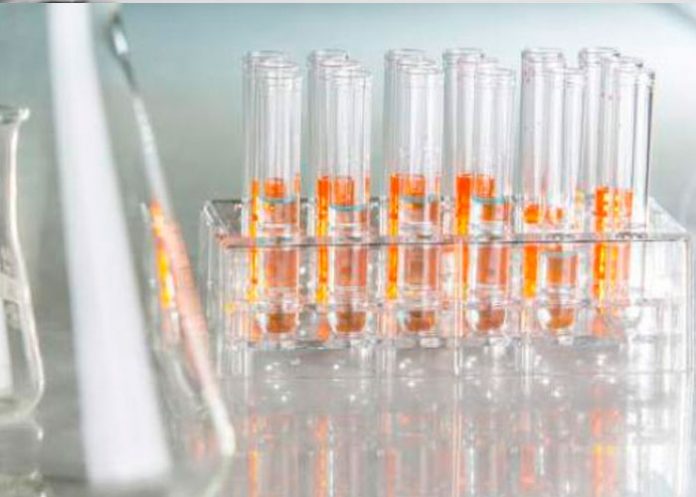 ¿Otra alarma sanitaria? Hallan frascos con viruela en laboratorio de Estados Unidos