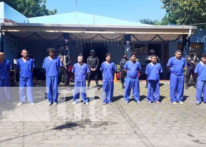 7 abusadores detenidos en Granada